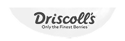 Driscolls